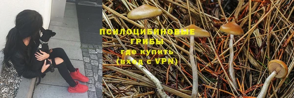 стаф Балабаново